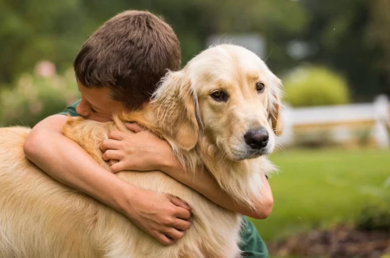 Chien qui aboie beaucoup : causes et solutions