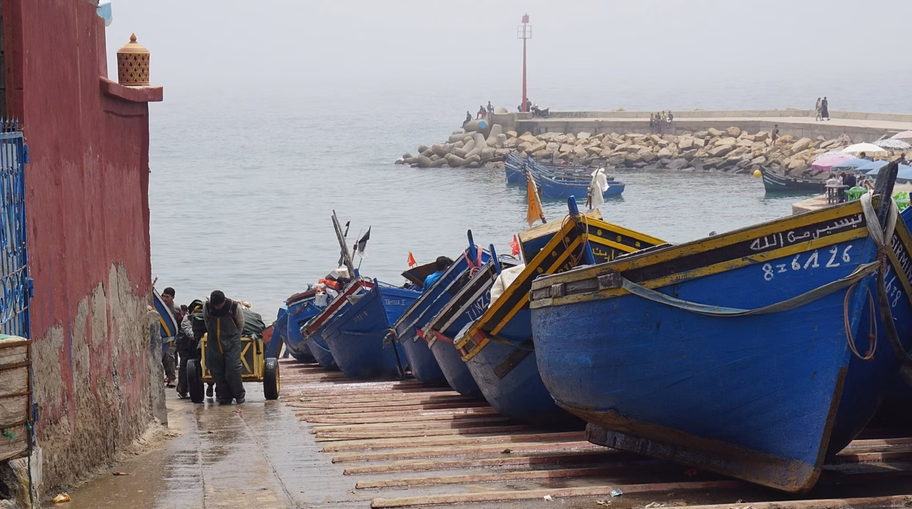 ONP au Maroc : toute l&rsquo;actualité de l&rsquo;organisme